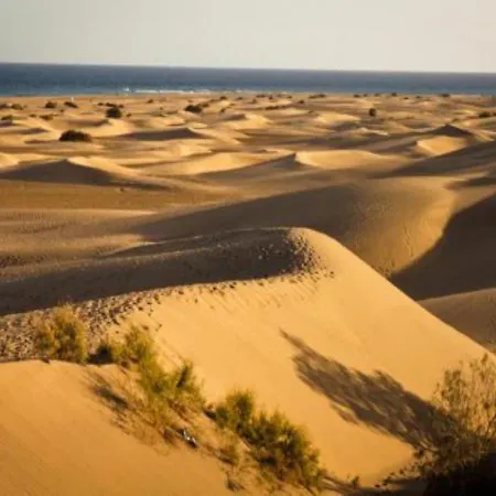 Appartamento Canaria Surycan 2 - Mapalomas San Bartolomé