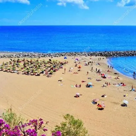 Canaria Surycan 2 - Mapalomas San Bartolomé